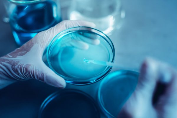 petri-dish-green